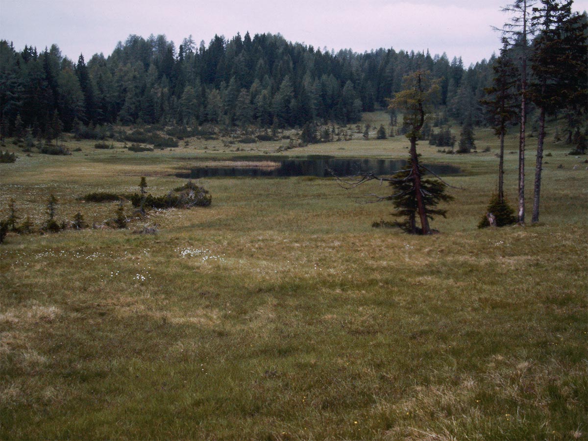 Dürrenecksee